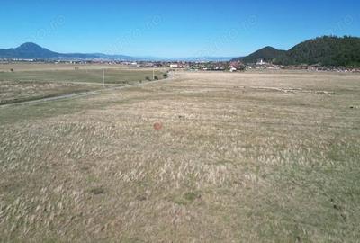 Teren de 14500 mp, în Glăjărie - 12