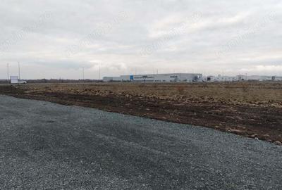 Inchiriez teren 4310 mp in Ghiroda - 1