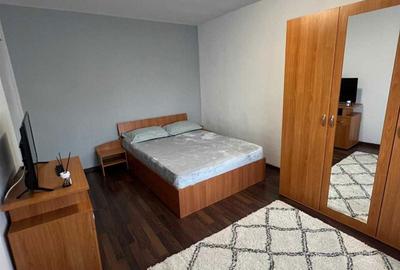 Garsonieră semidecomandată în Craiovița Nouă - 1