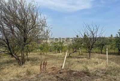 Teren de 1665 mp, în Dealuri Oradea - 3