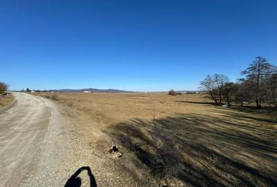 Teren de vânzare in zona Codlea la DN - 4