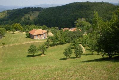 Casă cu 6 camere cu Teren 1200 Mp în Damiș - 8