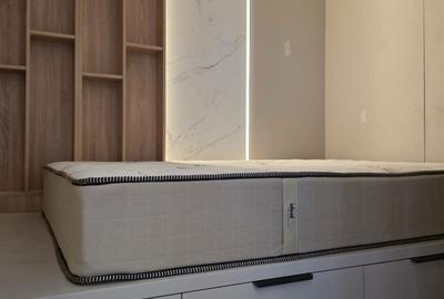 Apartament cu 2 camere semidecomandat, mobilat în Magheru - 2