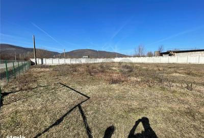 Teren de 2936 mp, în Șuncuiuș - 5