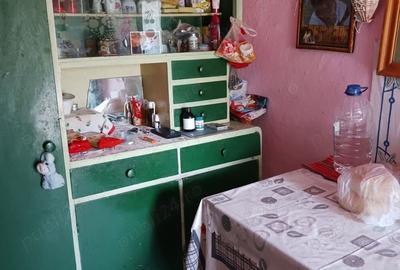 Casa batraneasca de vanzare - 10