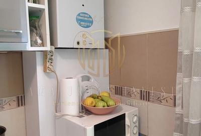 Apartament cu 2 camere semidecomandat, mobilat în Teiul Doamnei - 3