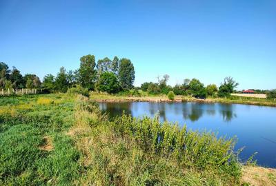 Teren 18.247 mp cu balta de pescuit Misca, Comuna Chi... - 7