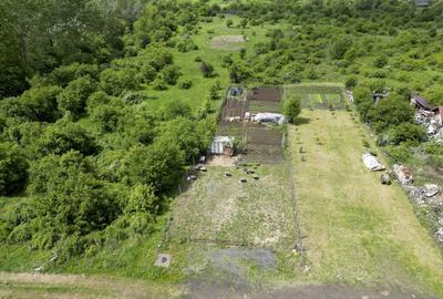 Teren intravilan in Gradi?te, 906 mp - 3