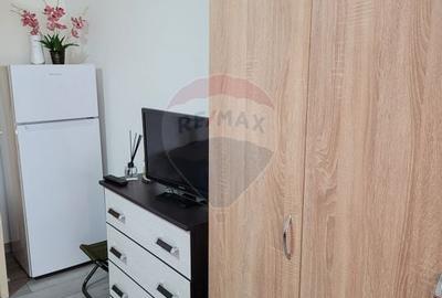 Garsoniera de inchiriat - Strada Avrig, Sector 2 (zona Obor) - 4