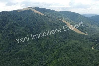 Teren de vanzare in apropiere de Transfagara?an ?i Valea Valsanului. - 3