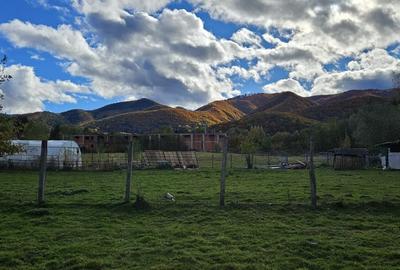 Teren intravilan | 500 mp autorizatie de constructi-de vanzare –Tocile - 2