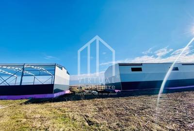 Spațiu industrial, de 528 mp, în Vest - 6