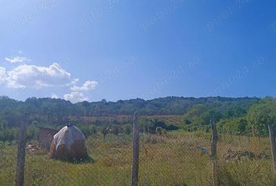 Teren de 3500 mp, în Central - 4