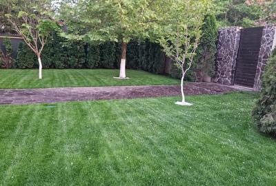 Casă cu 5 camere cu Teren 4000 Mp în Pantelimon - 6