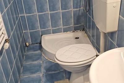 Garsonieră decomandată, mobilată în Broscărie - 4