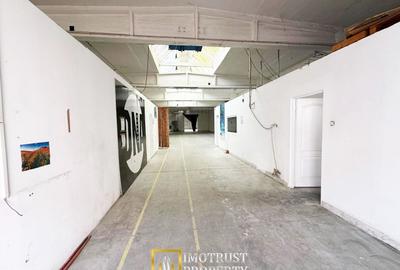 Spațiu industrial, de 421 mp, în UTA - 2