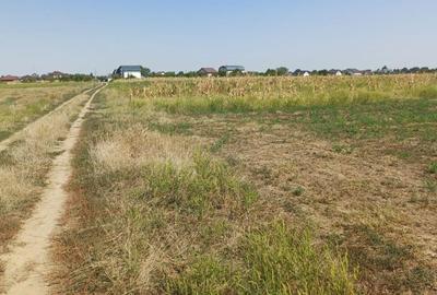 Teren de 1900 mp, în Săbăreni - 3