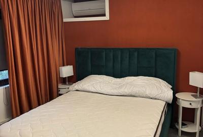Apartament cu 2 camere semidecomandat în Vitan - 6