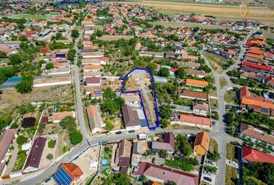 Teren Intravilan 2000 mp in Vladimirescu - 3