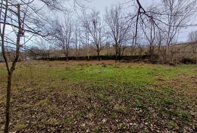 Resita, Teren Drept Intravilan, Langa Prau si Drum, Parcelab - 2