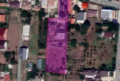 Teren de 2910 mp, în Valu lui Traian - 2