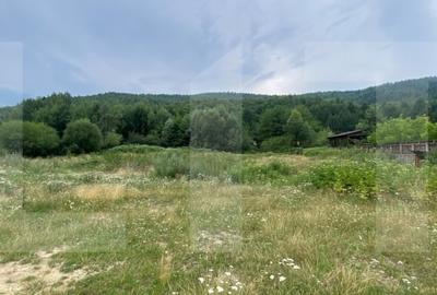 Proprietate pentru turism si agrement, 7.000 mp teren - Ghelinta - 7