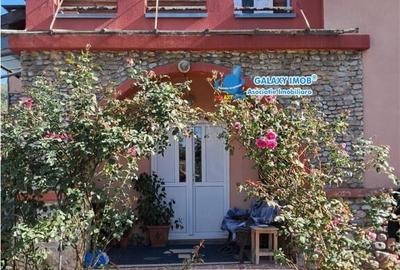 De casa Stefanesti cetate ....curte amenajata teren 100 - 4