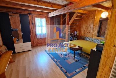 Casa de vacanta si teren 3695 mp in Hintesti - 2
