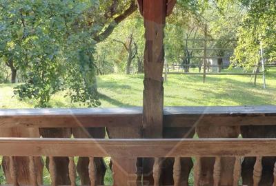 Vanzare ansamblu de 5 casu?e tradi?ionale Maramure?/ Botiza - 2