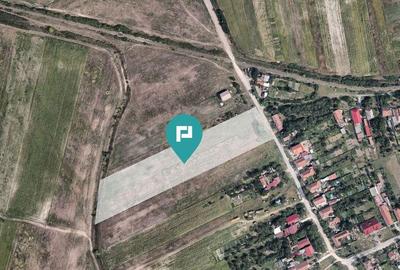 Teren Extravilan Oportunitate Unica de Investi?ii - 3