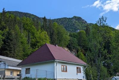 Casă cu 3 camere în Vidra - 1