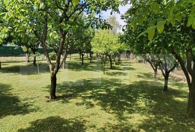 Casă cu 4 camere cu Teren 1241 Mp în Amați - 2