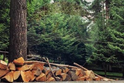 Spațiu comercial, de 510 mp, în Bisoca - 6