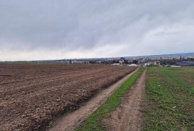 Teren 10,000mp Bacau / Strada Alexandru Safran - 3