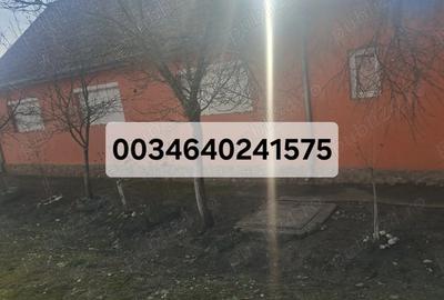 Casă cu 3 camere cu Teren 2800 Mp în Gherteniș - 2