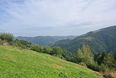 Vand teren la munte pentru cabana - 8