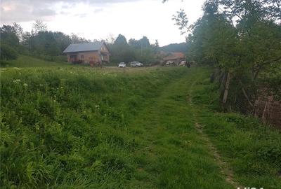 Teren de 1000 mp, în Vlădești - 2