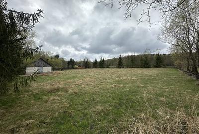 Teren de 12200 mp, în Vicovu de Jos - 1