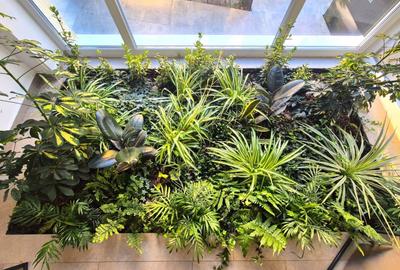 Apartament cu 2 camere decomandat în Astra - 20