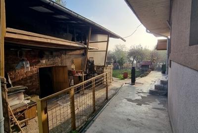 Pipera | Gradina | Iesire la lac | Terasa - 25