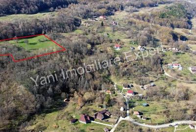 Teren 13.643 mp intravilan de vanzare in Curtea de Arge?. - 5