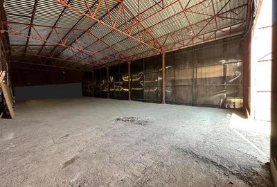 Spațiu industrial, de 360 mp, în Nicolina - 2