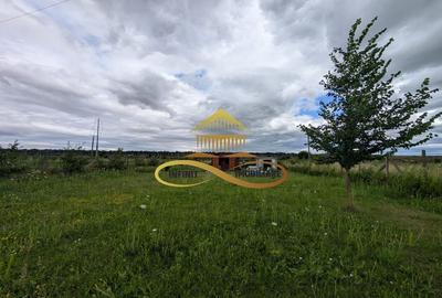 Teren cu Zonă Intravilană, Bacau-Lilieci, 1200 mp - 13