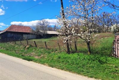 Teren Construcții intravilan de 2592 mp, în Polovragi - 7