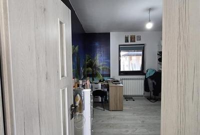 Aroneanu - Casa individuala 4 camere - 20