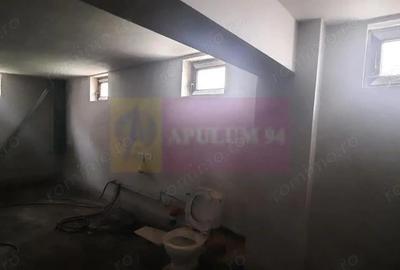 Inchiriere casa/vila noua individuala zona Mihai Bravu, aproape metrou - 8