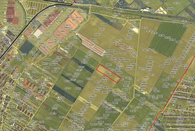 Teren Construcții intravilan de 25000 mp, în Dobroești - 2