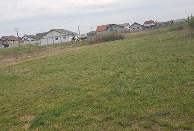 Teren de 1000 mp, în Central - 3