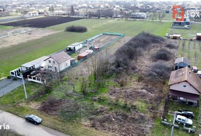 Spațiu comercial, în Parța - 11