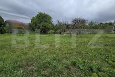 Teren de 845 mp, în Făget - 5